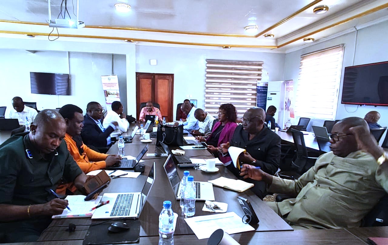 Centrafrique : une mission stratégique pour préparer le programme « Santé & Emplois »